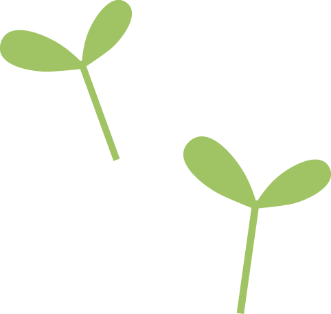 Kuvassa on kaksi vaaleanvihreää siementä, joissa on lehdet ja varret.